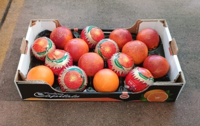 Foto Arance Tarocco Varietà Lemso Calibro 4Extra Origine Italia Marchio Eccellenza Capitale 1